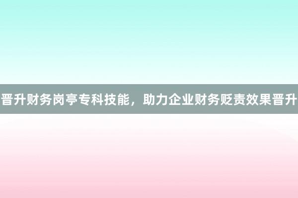 晋升财务岗亭专科技能，助力企业财务贬责效果晋升