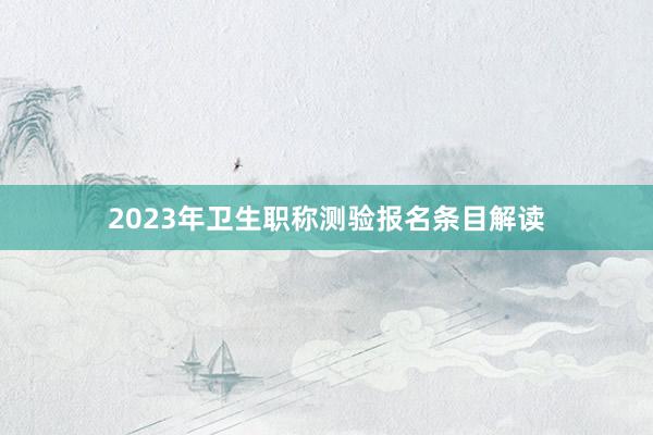 2023年卫生职称测验报名条目解读