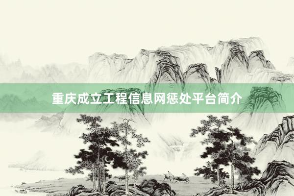 重庆成立工程信息网惩处平台简介