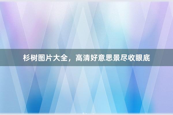 杉树图片大全，高清好意思景尽收眼底